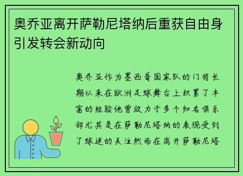 奥乔亚离开萨勒尼塔纳后重获自由身引发转会新动向